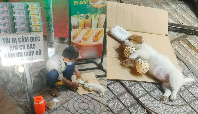 Ông lão bán vé số câm điếc chăm chút chú chó nhỏ không thiếu thứ gì