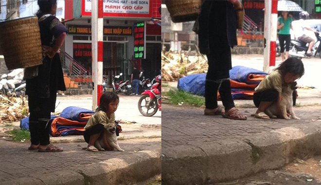 Bé gái ôm hôn chú chó sắp bị bán đi, khách chê liền tỏ ra mừng rỡ