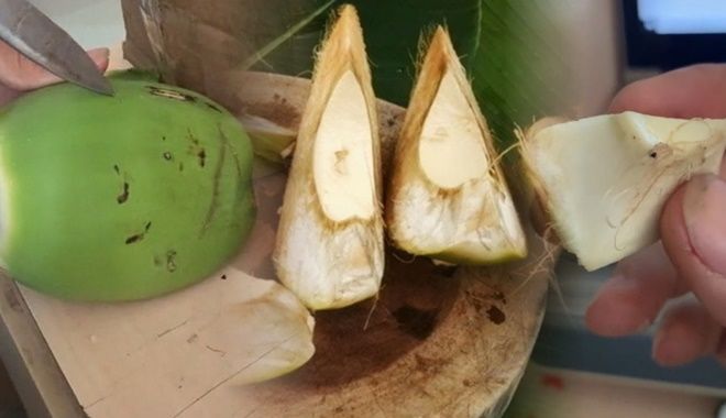 Giống dừa lạ nhất Việt Nam: Bổ múi như cam, chỉ ăn vỏ bỏ nước