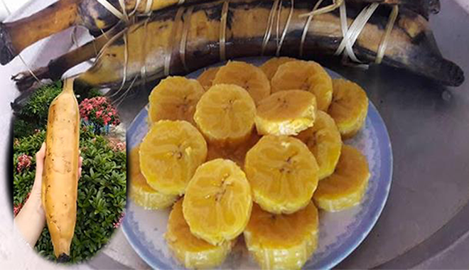 Loại chuối khủng nhất Việt Nam: Mỗi trái nặng 1kg, 2 người ăn mới hết