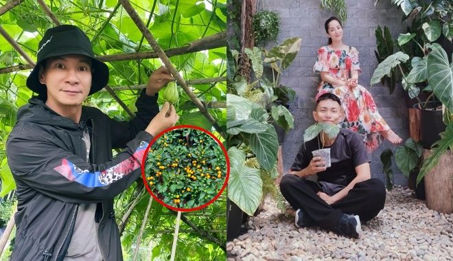 Vườn cây trái bạc tỷ của sao Việt: Lý Hải ớt nửa tỷ/kg vẫn chưa nhất