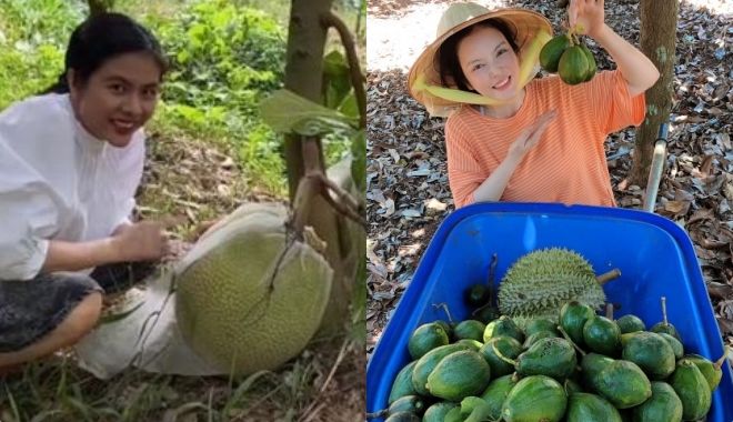 Khu vườn trái cây đi hoài không hết của sao Việt: Vân Trang 50.000 m2