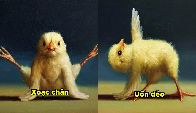 Yoga dẻo dai, khỏe đẹp cho mọi nhà: "Đừng để thua chú gà chứ"