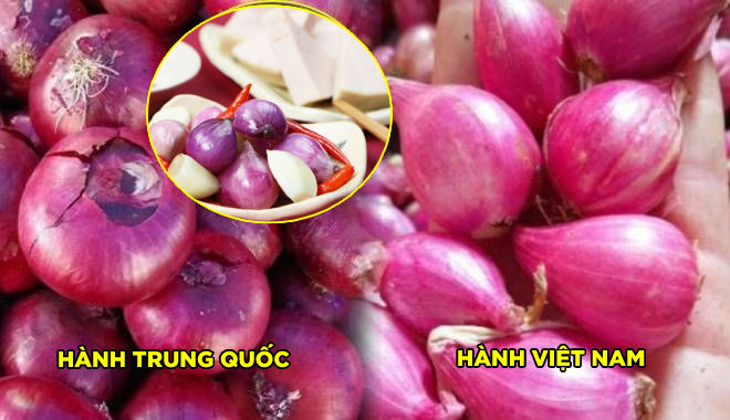 Cách phân biệt hành tím Việt với hành tím Trung Quốc để muối dưa ngon
