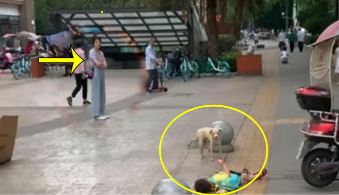 Con vòi vĩnh đòi mua đồ chơi, mẹ khoanh tay đứng đợi 1 giờ đồng hồ