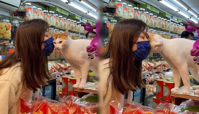 Cưng xỉu: Đi mua hàng Tết gặp ngay "quàng thượng" ra sức chiều khách