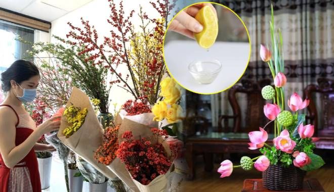 Mẹo đơn giản giữ hoa tươi lâu trong mấy ngày Tết: Dùng giấm và chanh