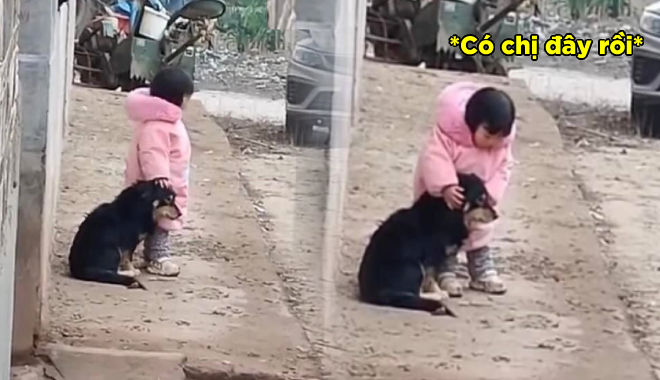 Bé gái đứng bảo vệ, bịt tai giúp bé cún không giật mình bởi tiếng pháo