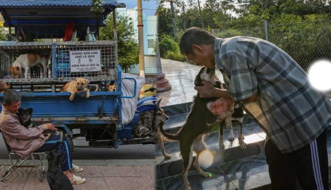 Người đàn ông U60 chăm sóc bầy chó hơn 20 con: Ăn ngủ trên xe tự chế