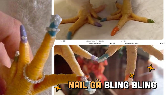 Cô gái tân trang bộ nail cho gà cưng gây bão trên mạng vì quá độc lạ