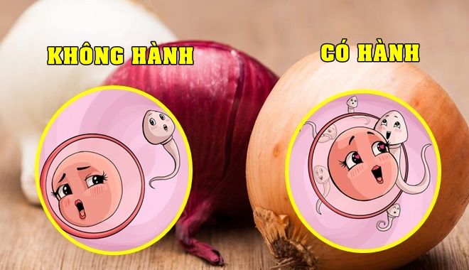 Công dụng đáng gờm của hành tây: Tăng khả năng sinh sản, ngừa cảm lạnh