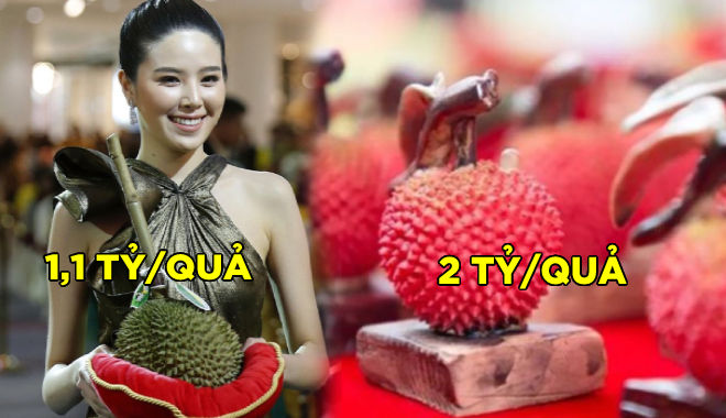 Những loại quả đắt nhất thế giới: Có quả giá trị bằng 1 căn nhà