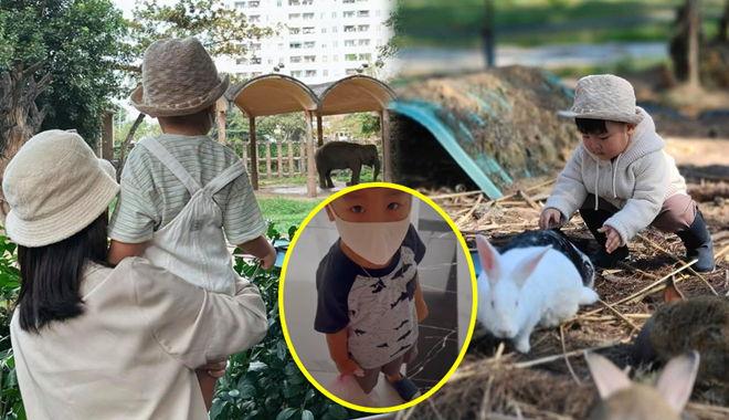 Bo Thúi được mẹ Hòa dạy quá khéo: Mang cơm vào công viên cho cá