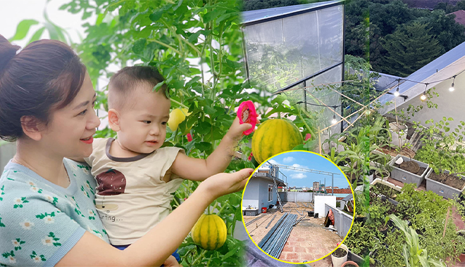 Chi 100 triệu làm vườn, mẹ đảm Nghệ An có rau ăn quanh năm