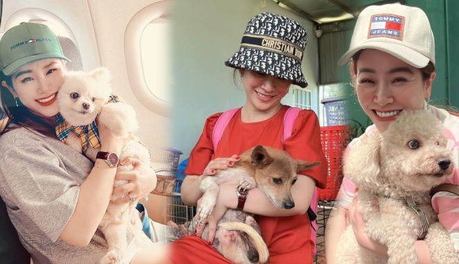 Kiều Linh chi hàng trăm triệu đồng mỗi tháng để nuôi đàn cún bị bỏ rơi