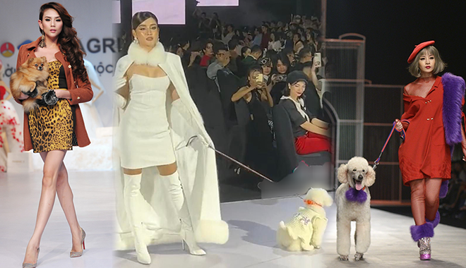 Mỹ nhân Việt mang cún lên sàn catwalk: Huyền My muốn "độn thổ"