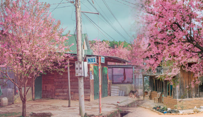 Ngôi làng thơ mộng hệt như thế giới anime, vài bước có ngay view đẹp