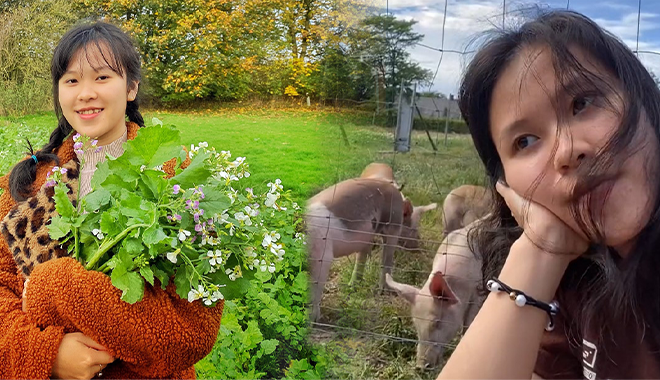 Nữ sinh thực tập chăn 1.800 con heo, nhận lương 50 triệu đồng/tháng