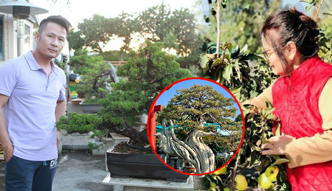 Cơ ngơi của Bằng Kiều ở Mỹ: Đẹp như công viên, vườn rợp bóng xanh mướt